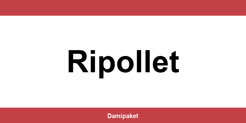 Contacte por teléfono a DHL en Ripollet