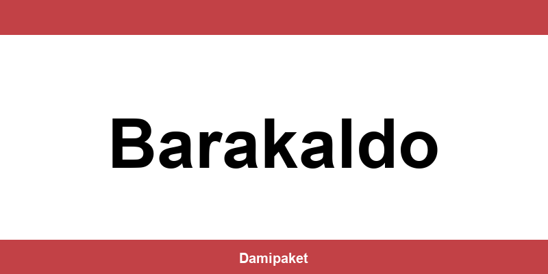 Contacte por teléfono a DHL en Barakaldo