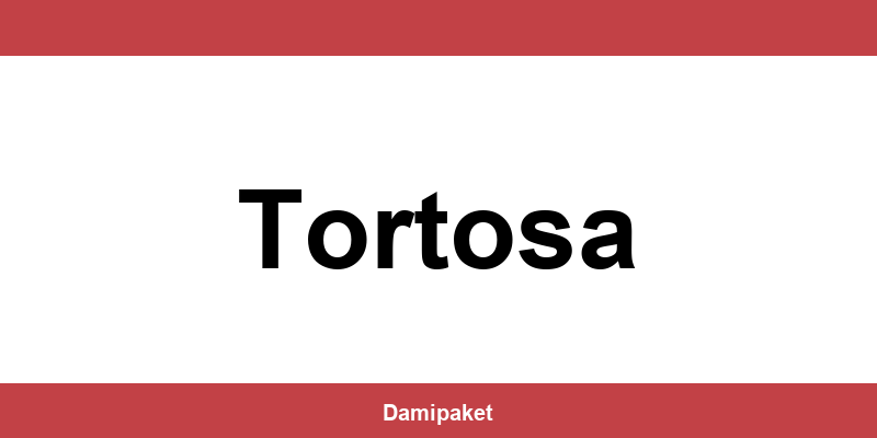 Contacte por teléfono a DHL en Tortosa
