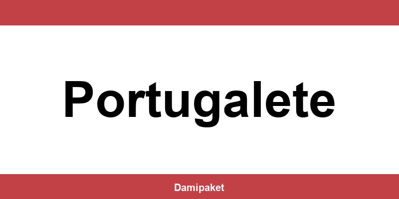 Contacte por teléfono a DHL en Portugalete